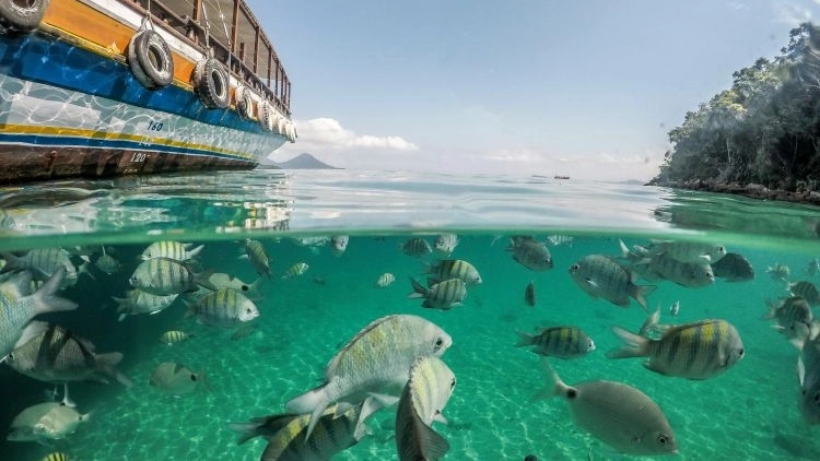 Um dia em Angra dos Reis - Privativo